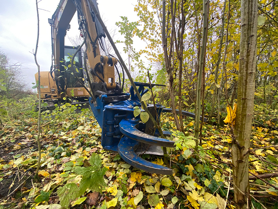 Bomen knippen